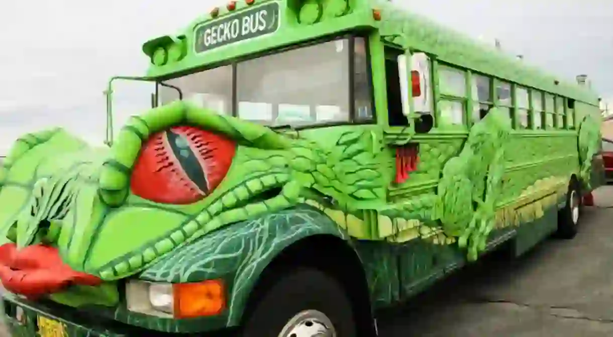 Gecko Bus