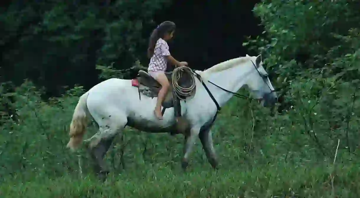 Never too young or old to ride a horse