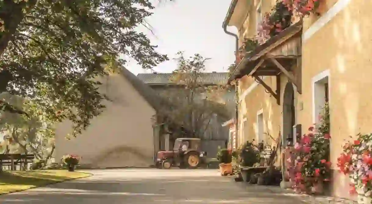 A local farm in Graz