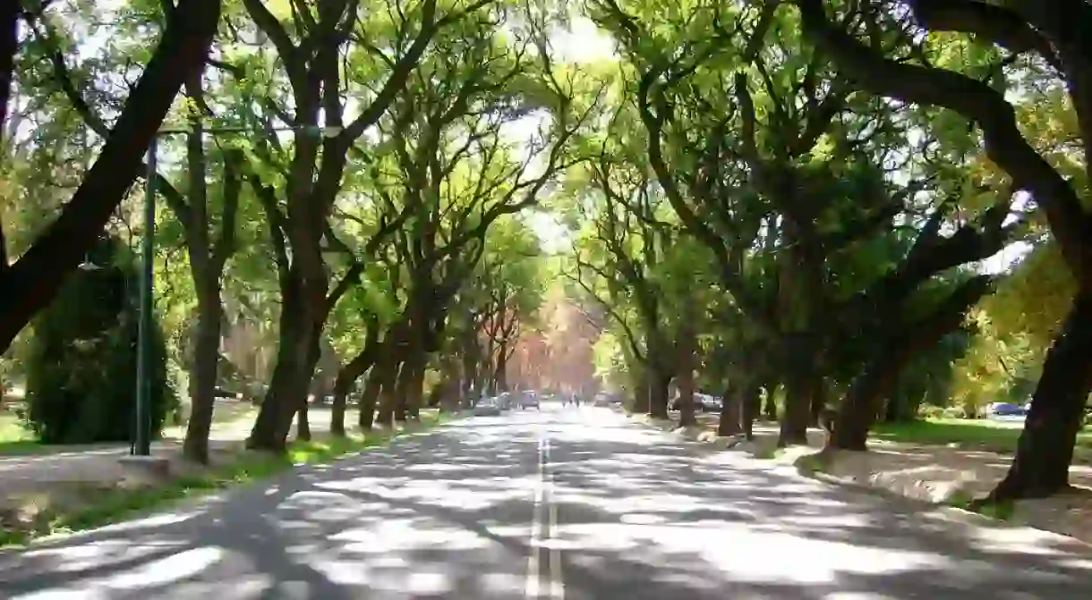 A park in Mendoza