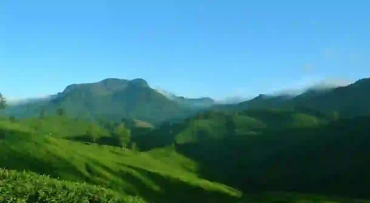 Munnar is a hill station in Kerala that is known for its tea-estates and scenic beauty