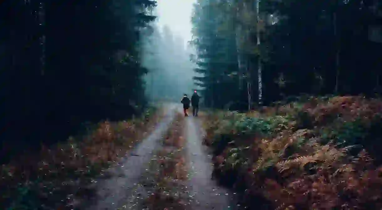 Walking in a Finnish forest