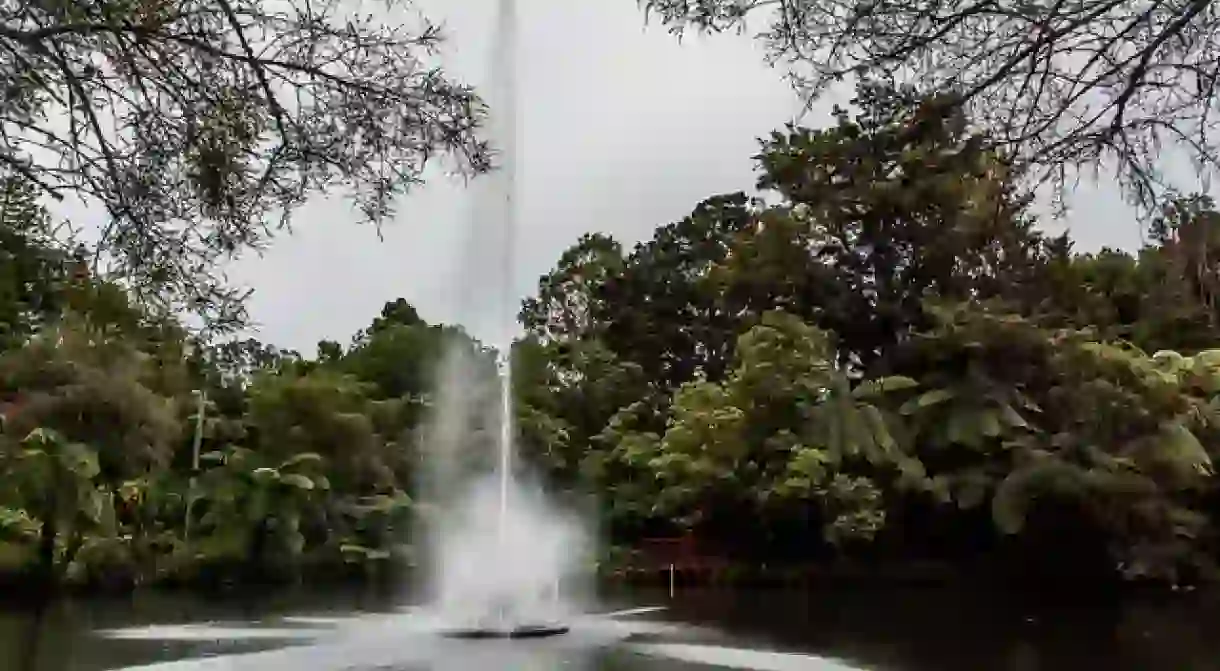 Pukekura Park Fountain