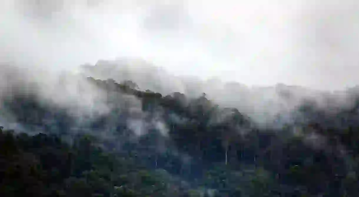 Mist hanging over the Ranomafana National Park rainforest