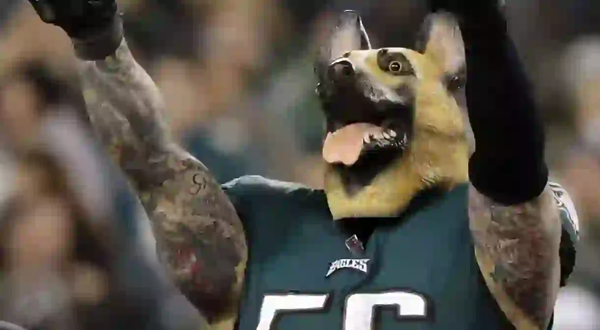 Mandatory Credit: Photo by JASON SZENES/EPA-EFE/REX/Shutterstock (9328403cj) Philadelphia Eagles defensive end Chris Long celebrates with his underdog mask at the conclusion of his team after they defeated the Minnesota Vikings during the NFC Championship game at Lincoln Financial Field in Philadelphia, Pennsylvania, USA, 21 January 2018. Minnesota Vikings at Philadelphia Eagles, USA - 21 Jan 2018