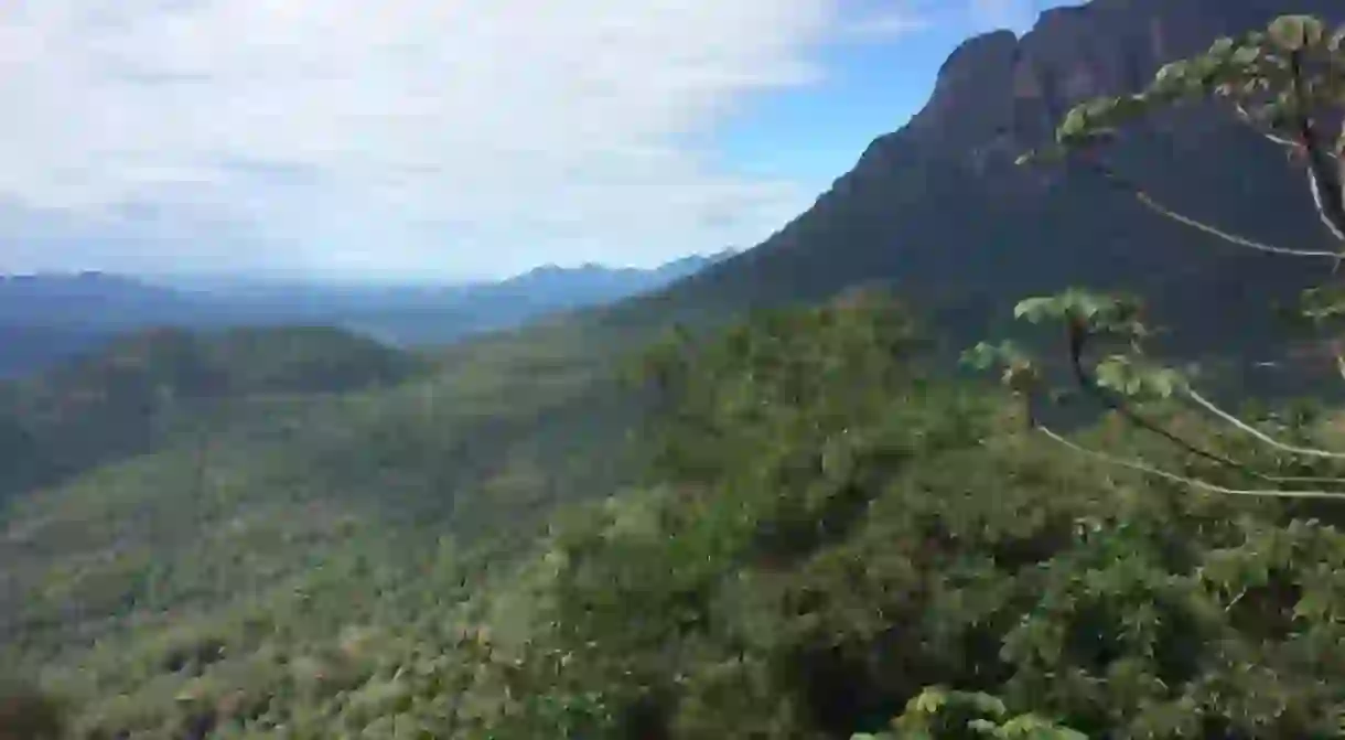 Mountain canyon views from the Serra Verde Express