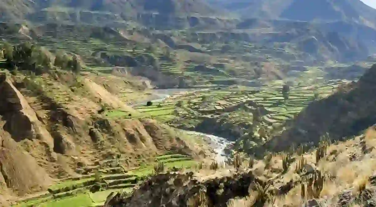 Colca Canyon