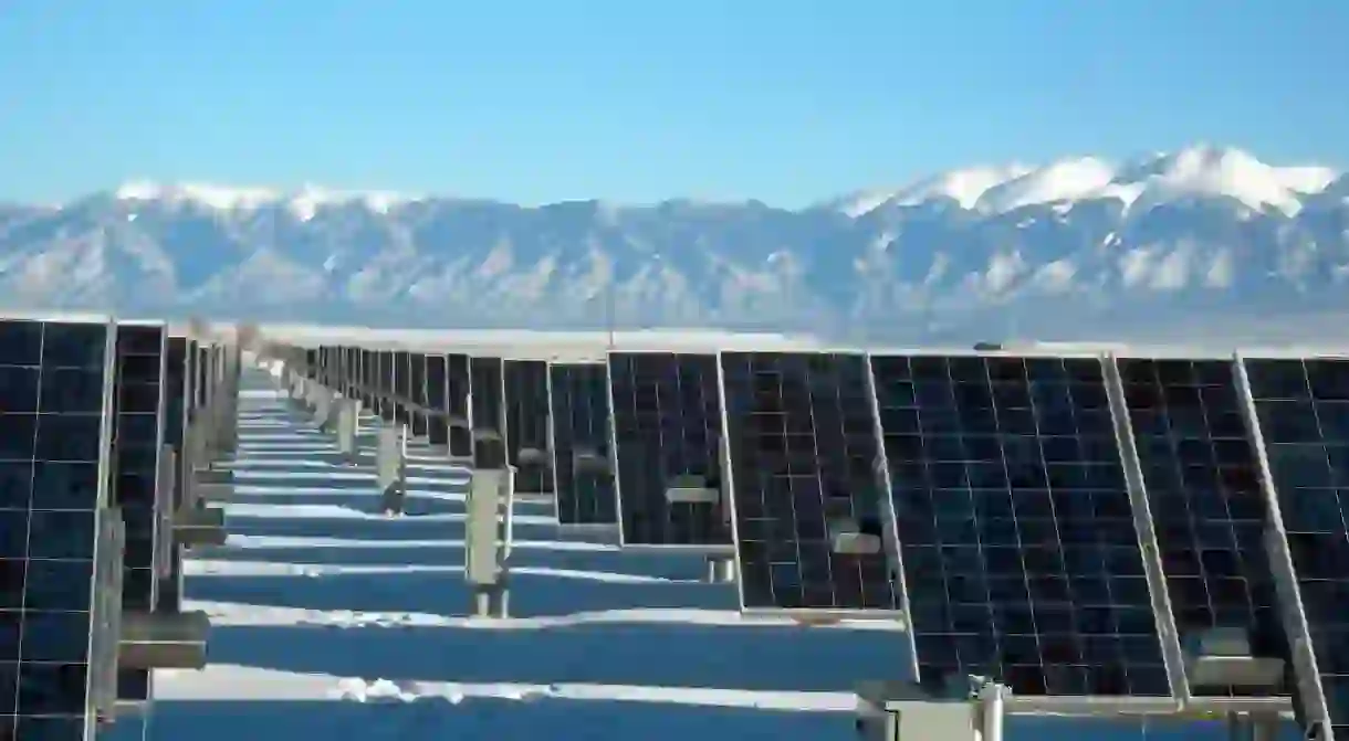 Solar panel plant