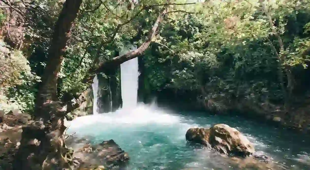 Ein Gedi