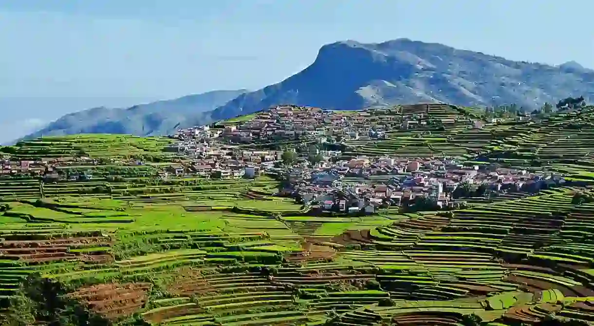 Step farming is a popular feature of Kodaikanal