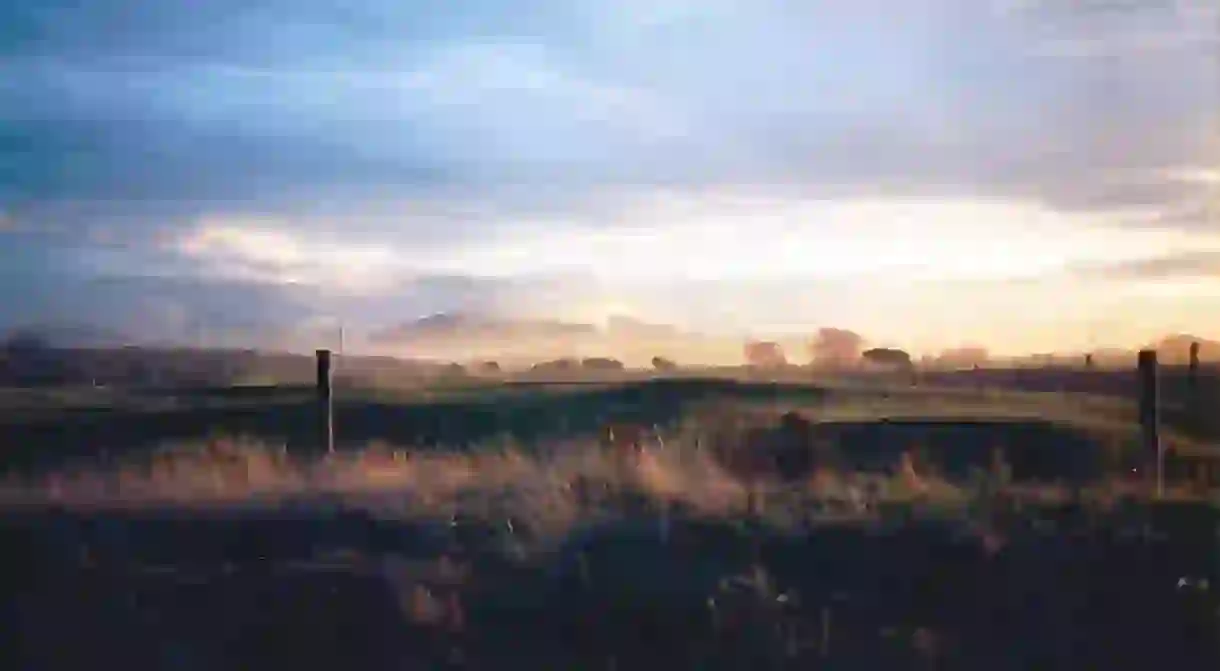 Rural area in the South Island, New Zealand