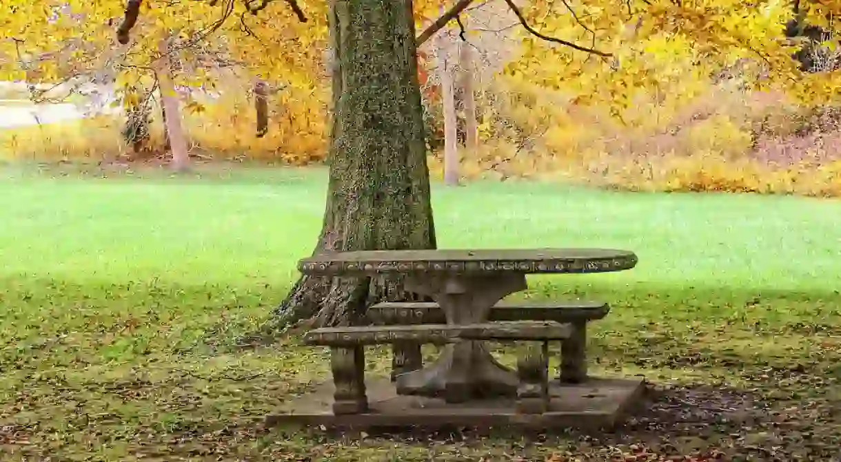 A picnic in the park?