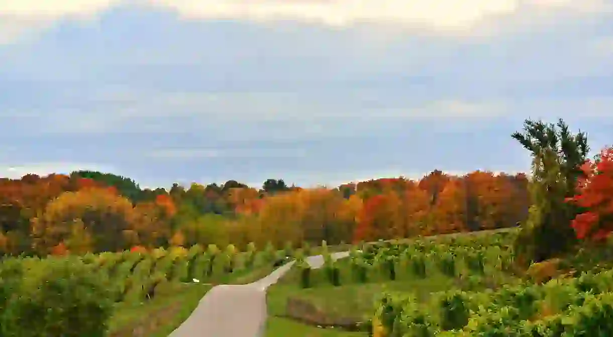 Michigans scenic wine country