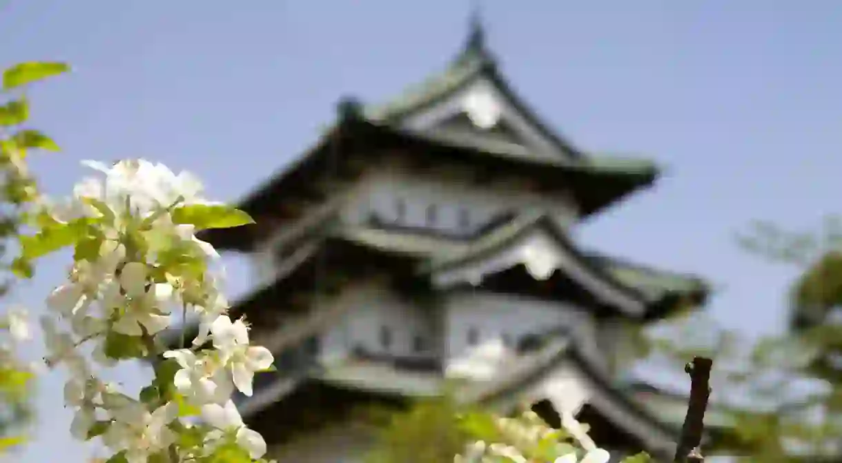 Apple blossoms at Hirosaki Castle; the prefecture is famous for its apple production