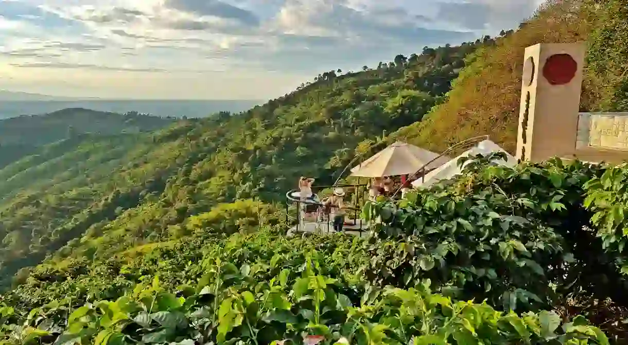 Cafe San Alberto, Quindio, Colombia