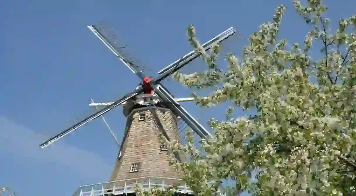 De Zwaan Windmill