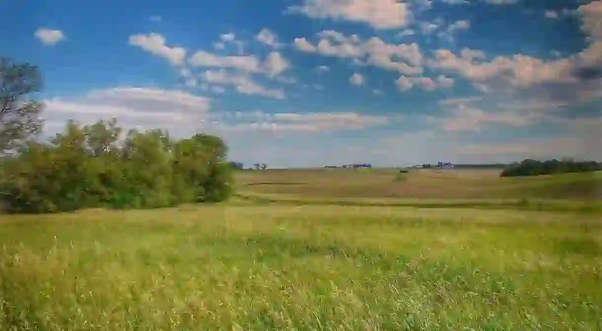 A beautiful scene of the prairie in Central Illinois