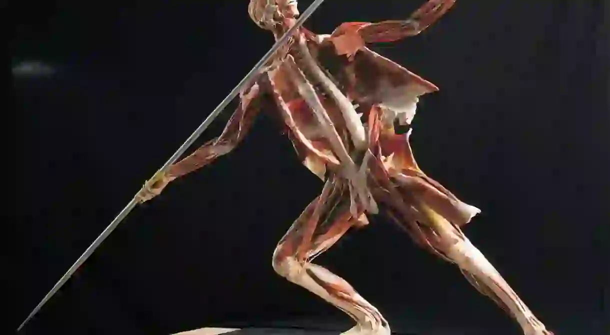 Body Worlds RX