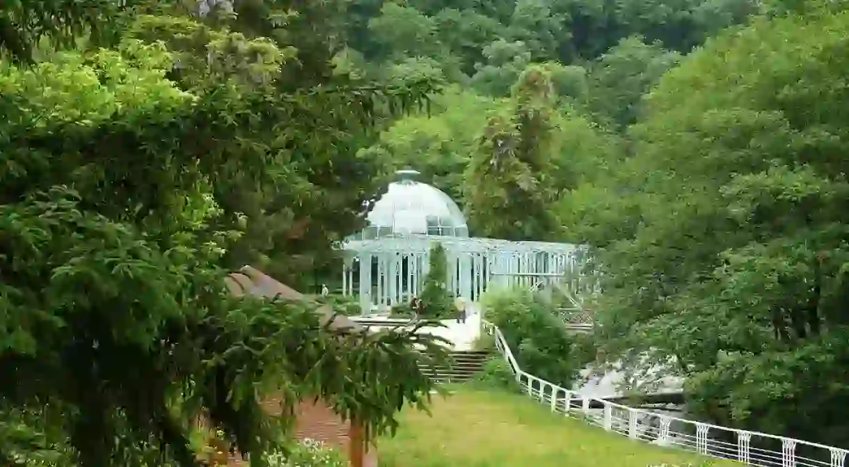 Borjomi Central Park