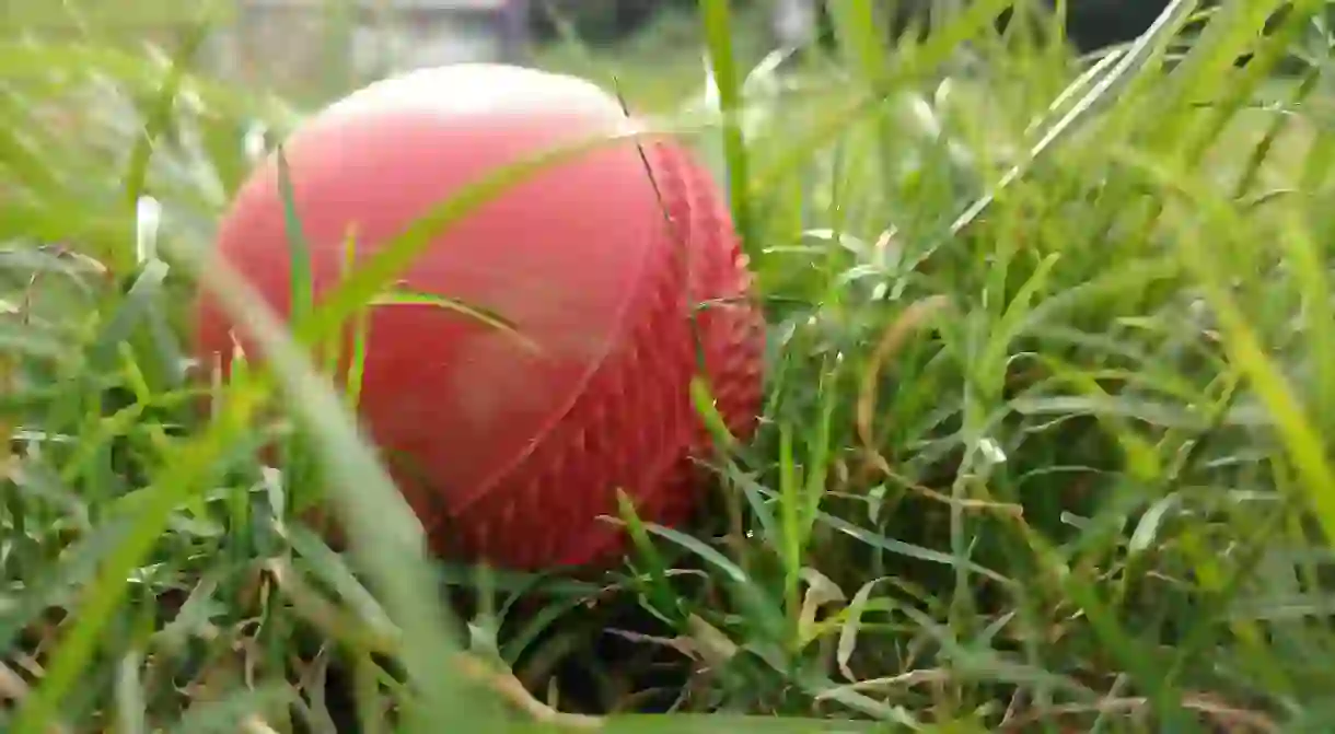 Cricket ball