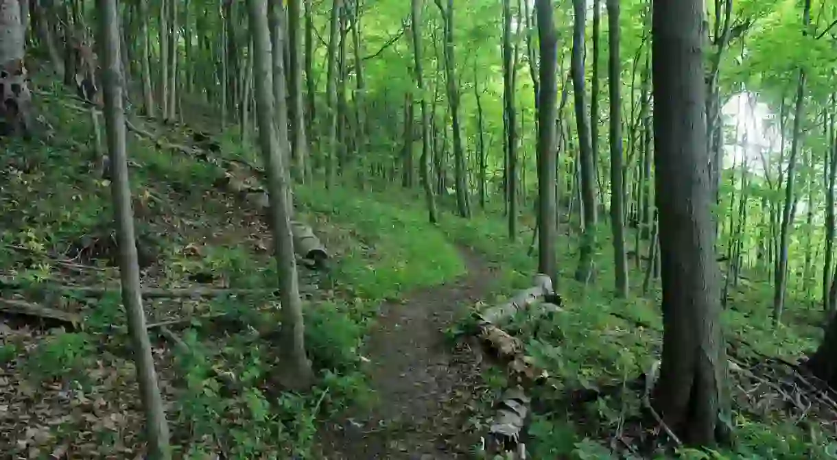 Erie Bluffs State Park