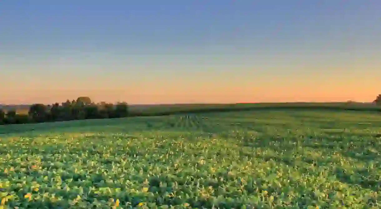 Charles Mound, Illinois