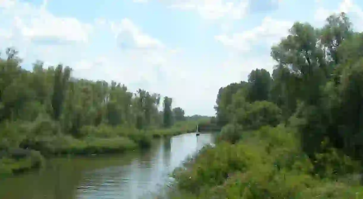 A canal in the Biesbosch