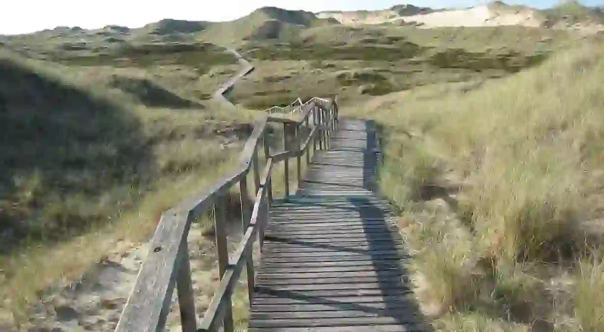 Amrum