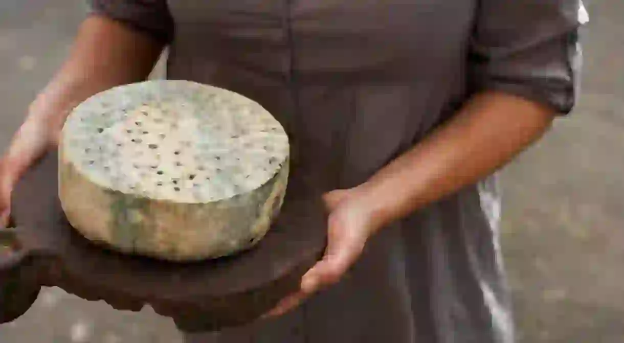 Kraftkar cheese was the world champion of 2016