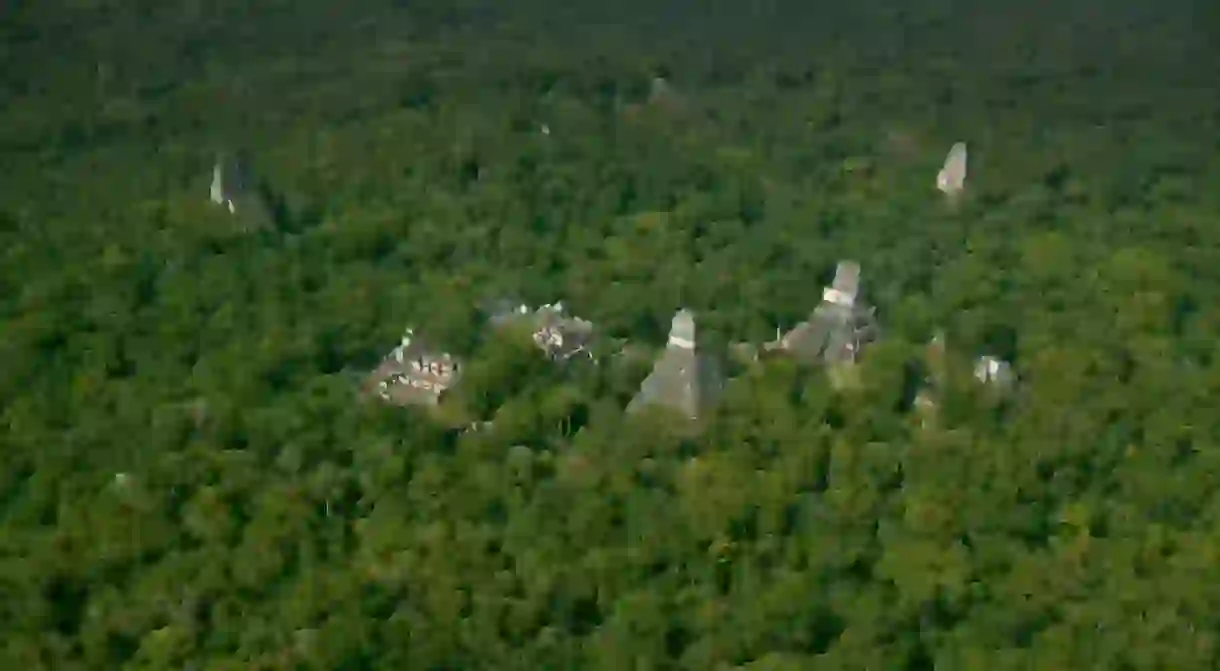 The Maya city of Tikal (Wild Blue Media)