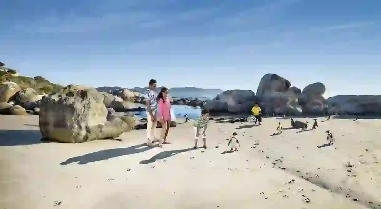 Boulders Beach