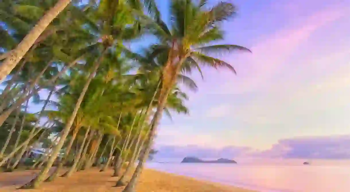 Palm Cove at sunrise