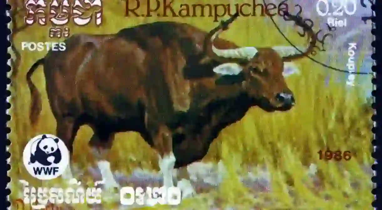 A 1986 stamp shows the kouprey