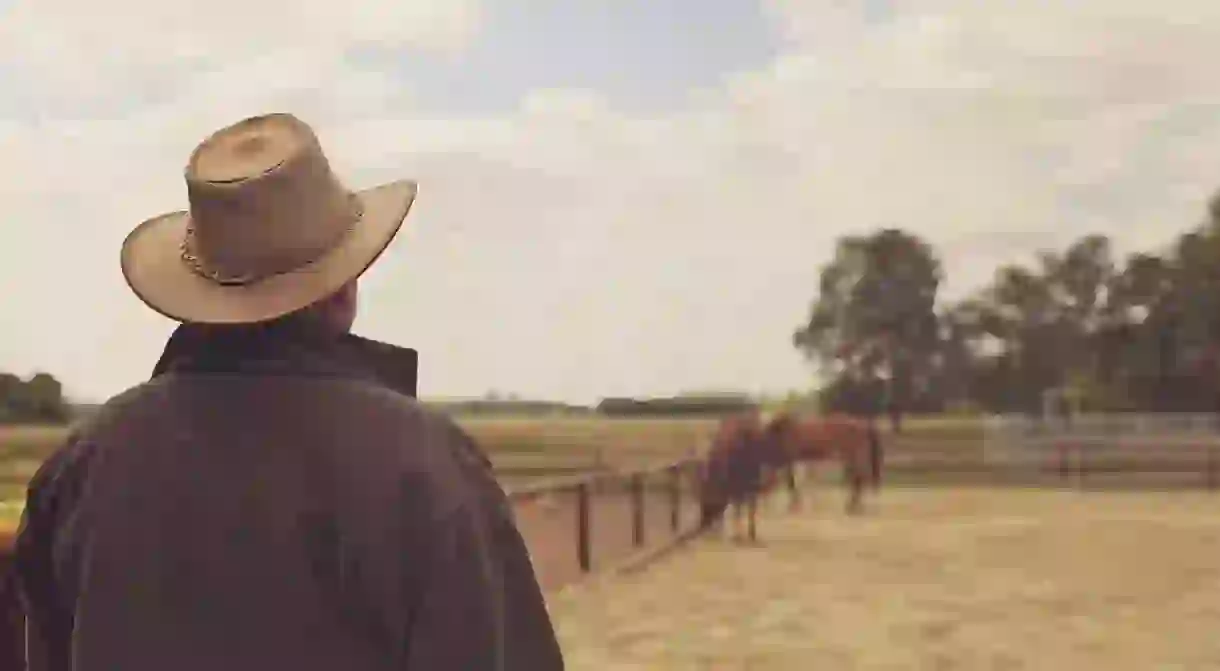 Farmer watching his horses