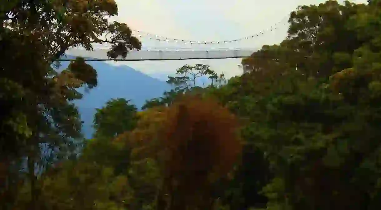 The canopy walk over the rainforest is one of the parks highlights