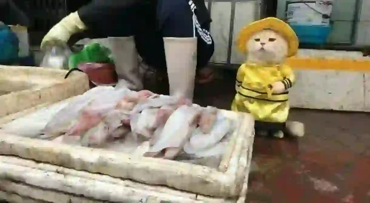 Cho at the seafood stall.