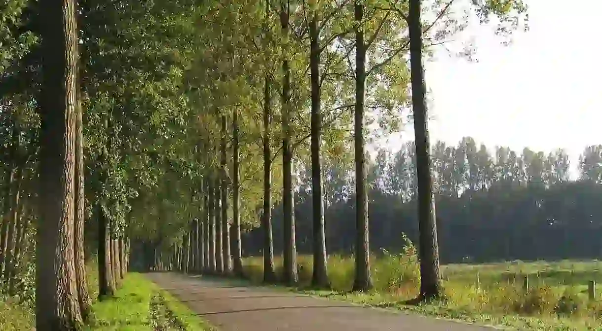 A country road in Best, the Netherlands