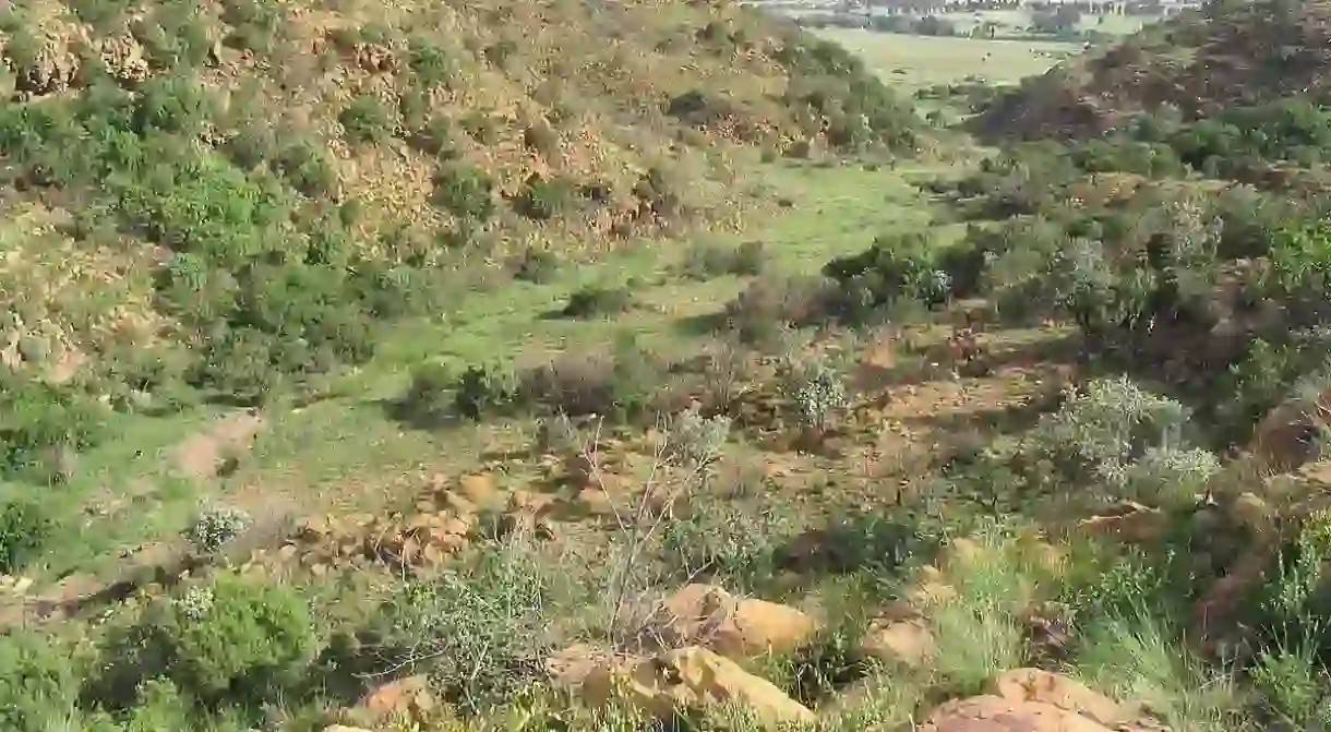 Suikerbosrand Nature Reserve gorge