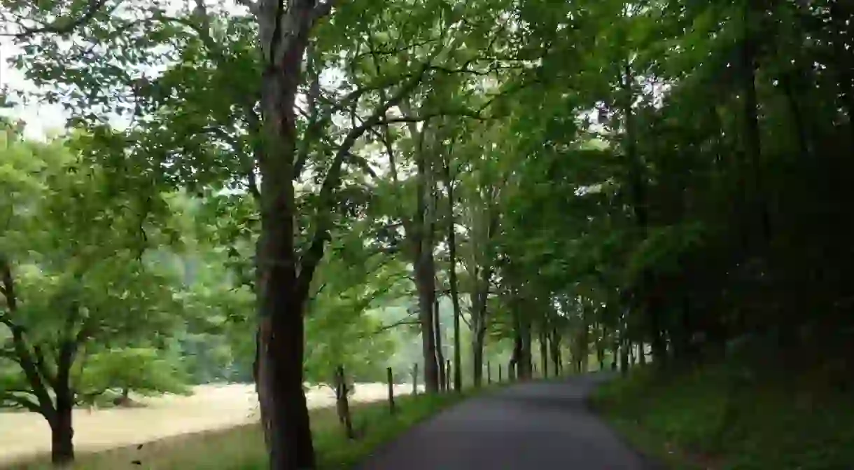 A country road in West Virginia