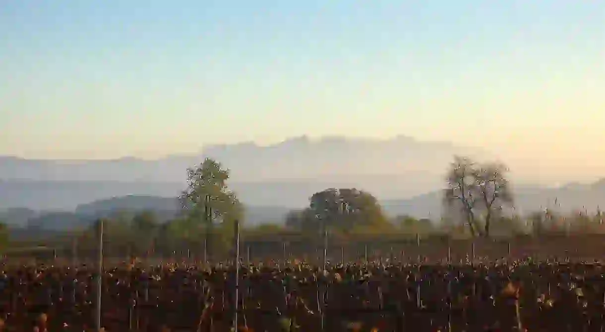 The Penedès wine region