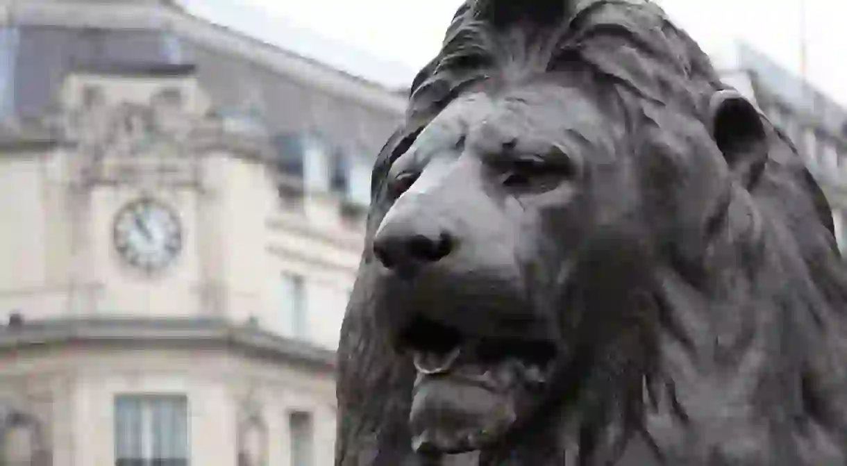 One of the most famous examples of an English lion in Trafalgar Square