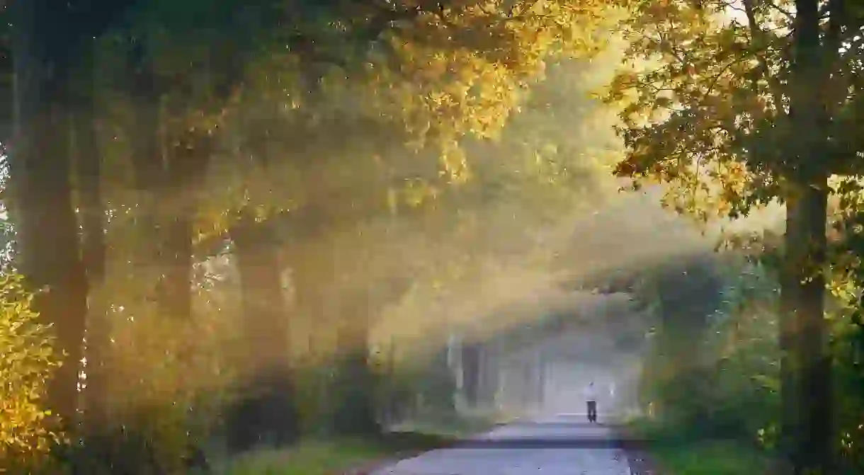 Tranquil jogging trail