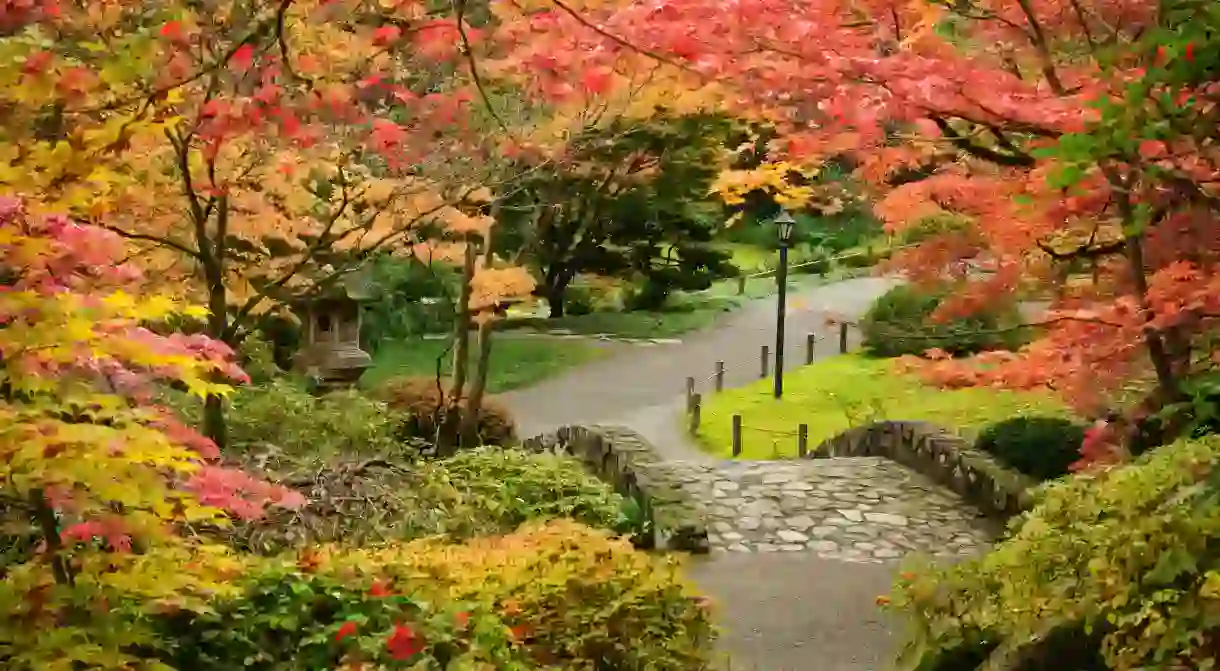 Washington Park Arboretum