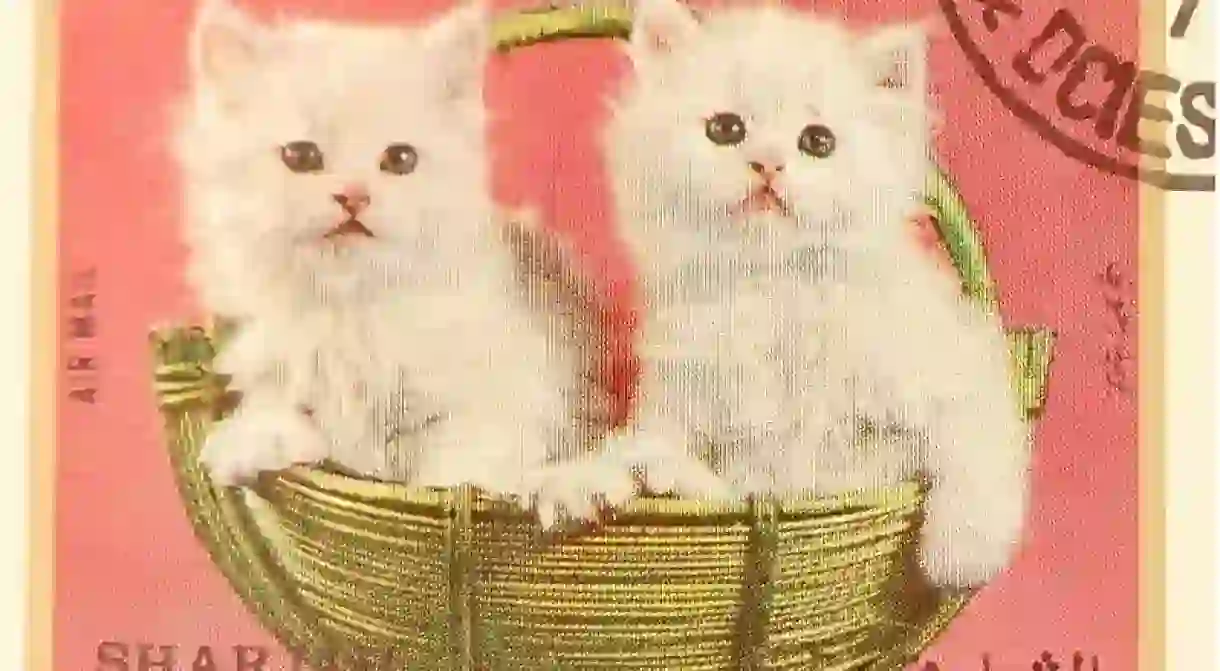 Two kittens on a United Arab Emirates stamp.