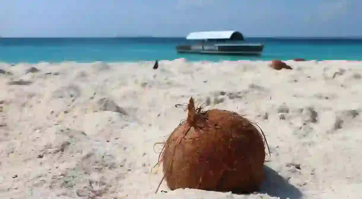 Coconut on the beach