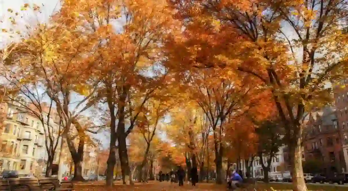 Commonwealth Avenue Mall