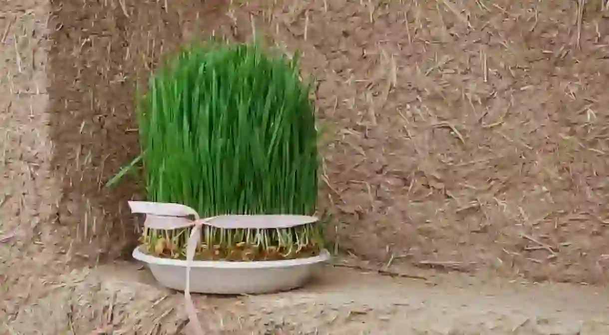 Grass for Nowruz