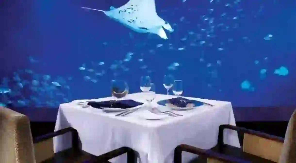 Watch aquatic animals swim past while feasting on dinner