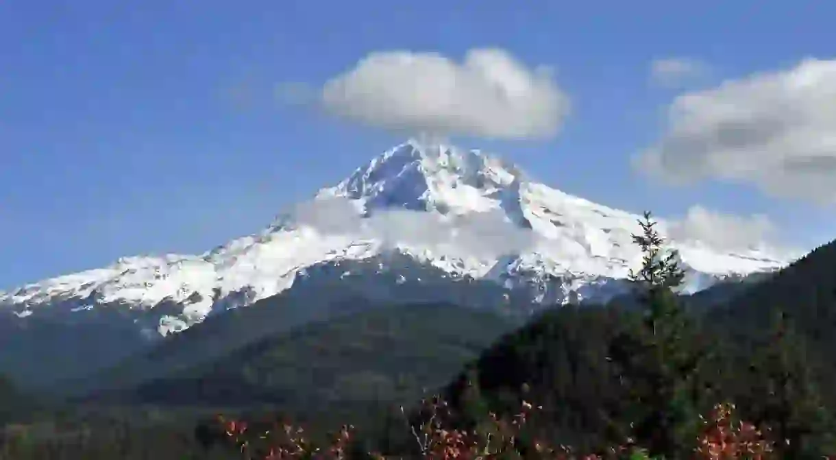 Mt. Hood in the summer