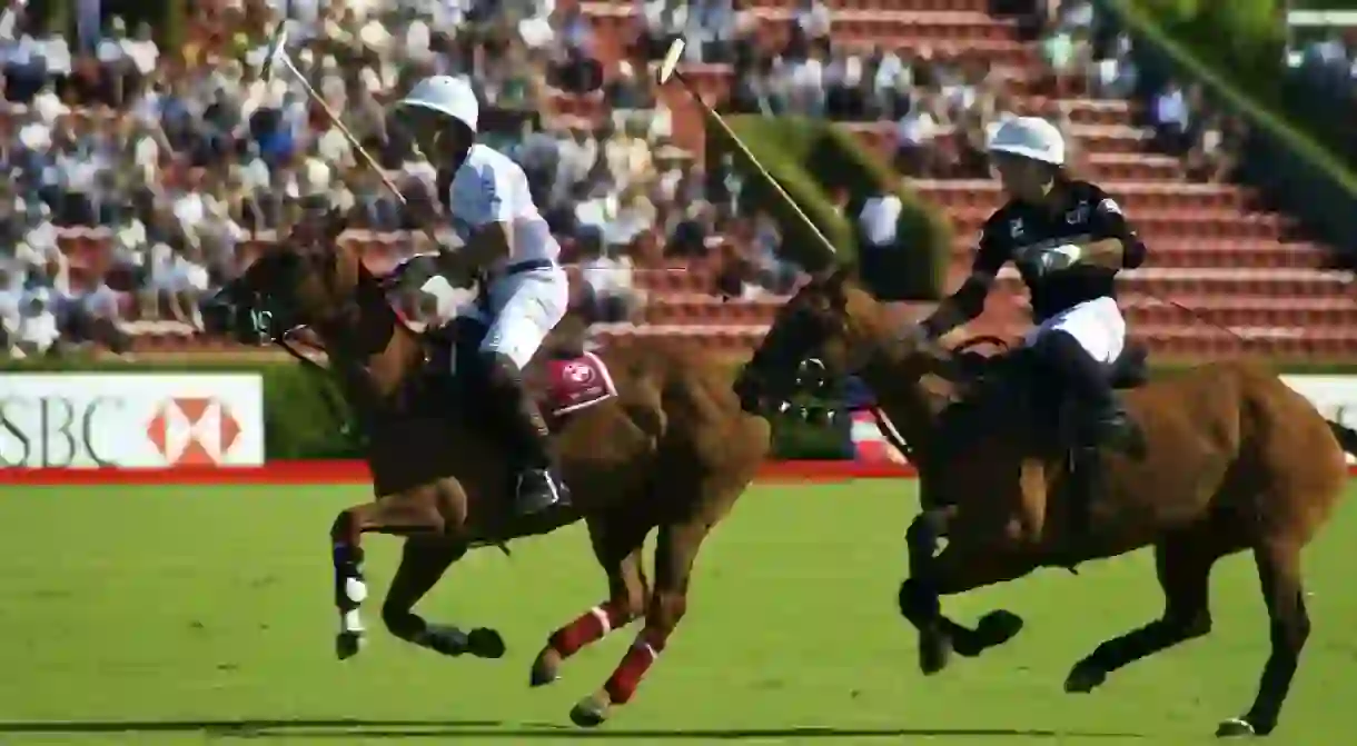 The elegant sport of polo in Argentina